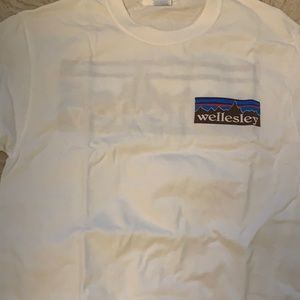 Patagonia style town t shirt